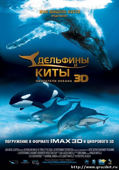 Дельфины и киты 2D / Dolphins and Whales: Tribes of the Ocean 2D (2008) BDRip (AVC)